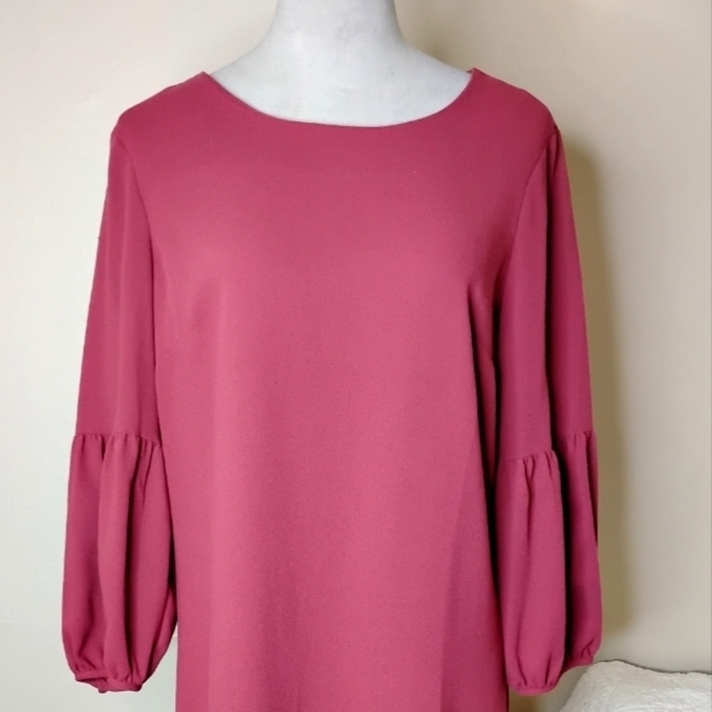 NWT Ann Taylor Shift Dress - Picture 5 of 11